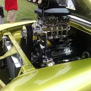 Meet your Posher, Steven